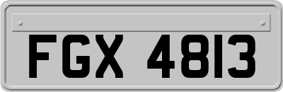 FGX4813