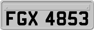 FGX4853