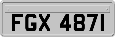 FGX4871