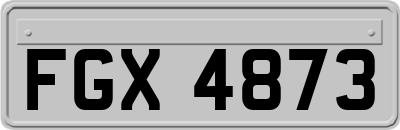 FGX4873