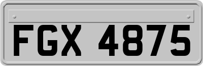 FGX4875