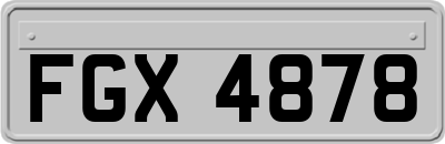 FGX4878