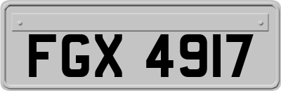 FGX4917