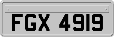 FGX4919