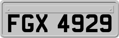 FGX4929