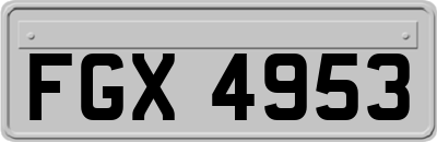 FGX4953
