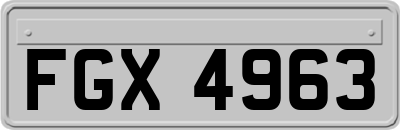 FGX4963