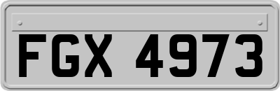 FGX4973