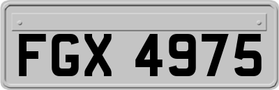 FGX4975