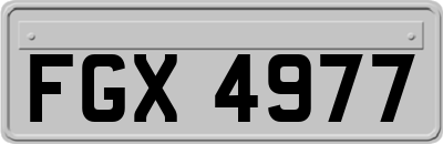 FGX4977