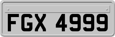 FGX4999