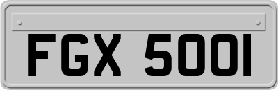 FGX5001