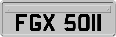 FGX5011