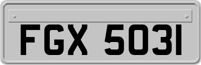 FGX5031