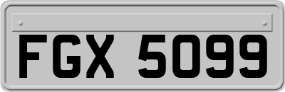 FGX5099