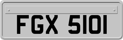 FGX5101