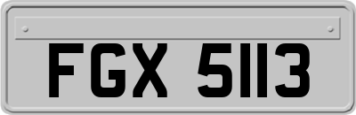 FGX5113