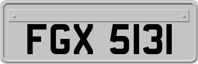 FGX5131