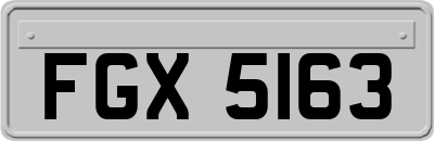 FGX5163