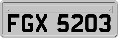 FGX5203