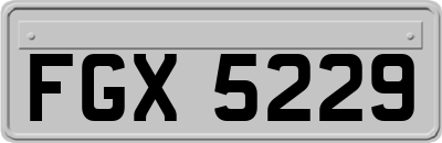 FGX5229