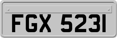FGX5231