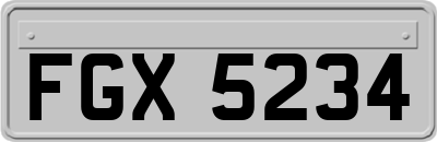 FGX5234