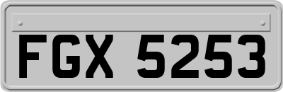 FGX5253