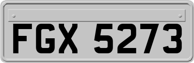 FGX5273