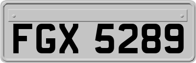 FGX5289