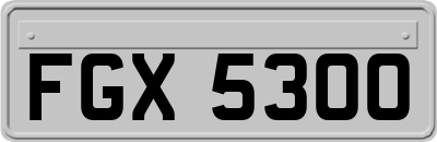 FGX5300