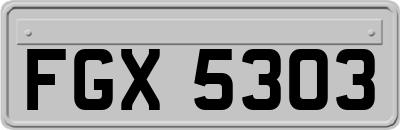 FGX5303