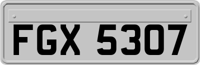 FGX5307
