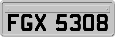 FGX5308
