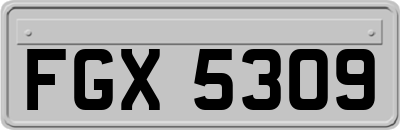 FGX5309