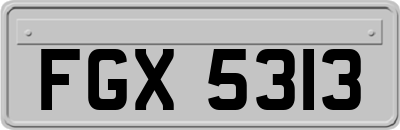 FGX5313