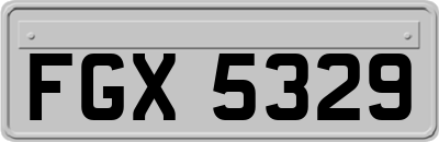 FGX5329