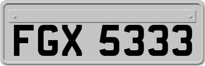 FGX5333