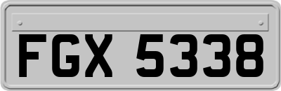 FGX5338