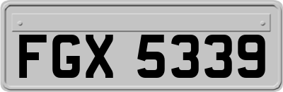 FGX5339