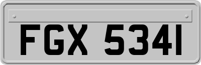 FGX5341