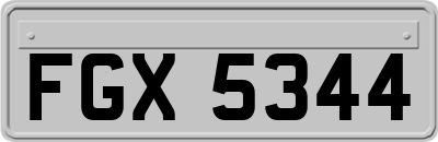 FGX5344