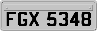 FGX5348