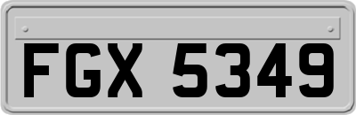 FGX5349