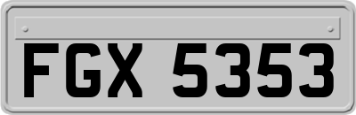 FGX5353