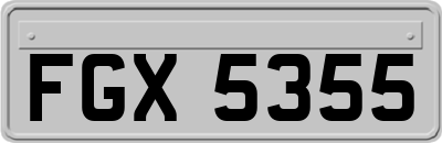 FGX5355