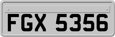 FGX5356