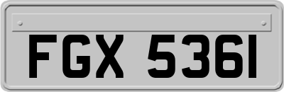 FGX5361
