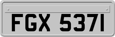 FGX5371