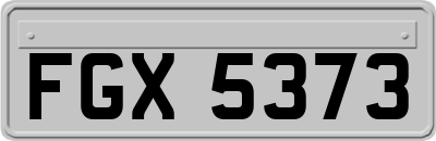 FGX5373